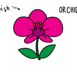 How To Draw a Beautiful Orchid - Beautiful Flower Easy Drawing Guides