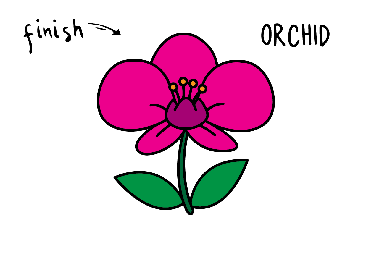 How To Draw Tutorials For Kids ORCHID FLOWER Step by step for kids easy simple guide FINAL How To Draw Tutorials For Kids ORCHID FLOWER Step by step for kids easy simple guide FINAL