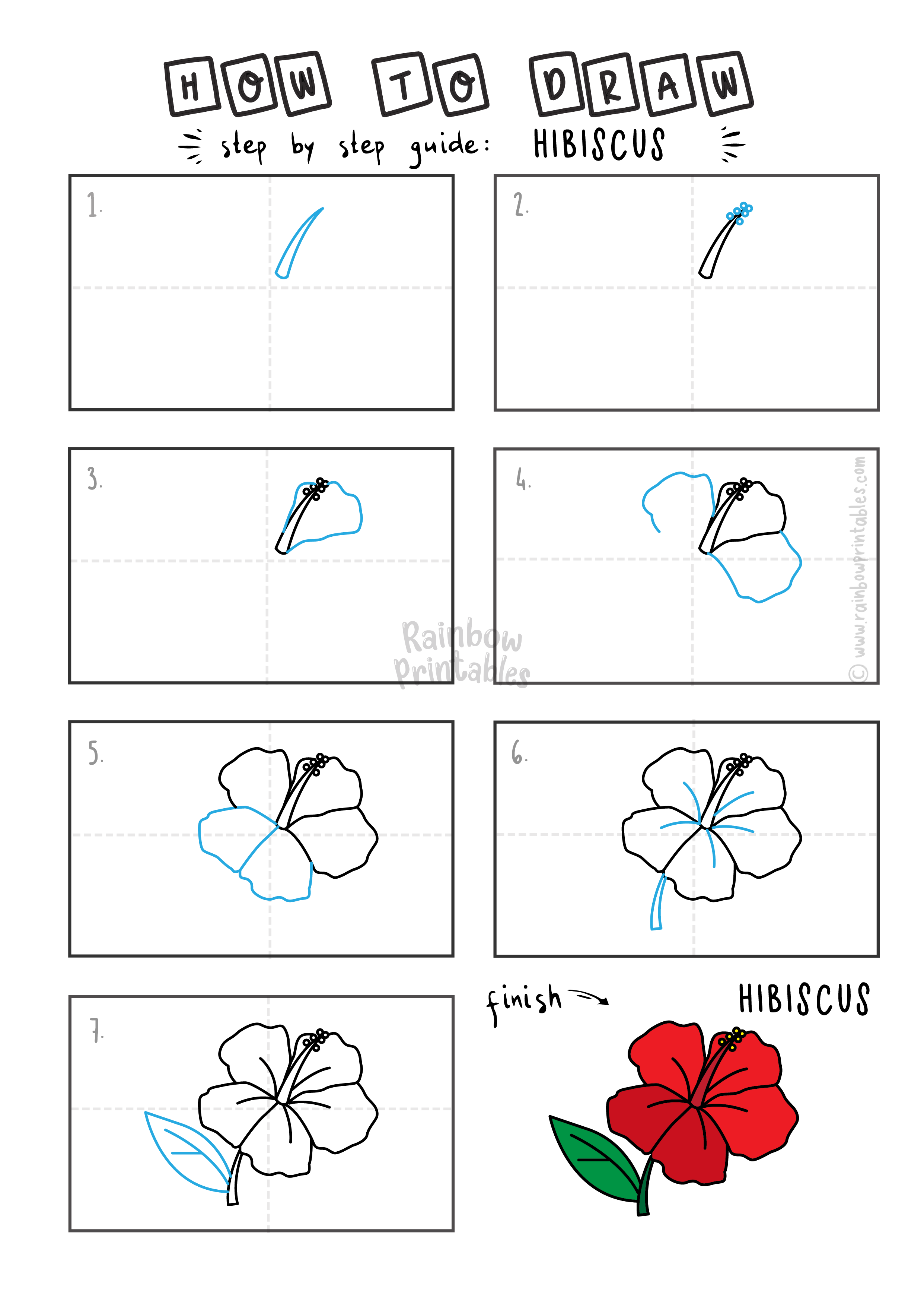 How To Draw a HIBISCUS FLOWER RED PARADISE PLANT EXOTIC Step By Step Easy Simple Drawing Guide for Kids