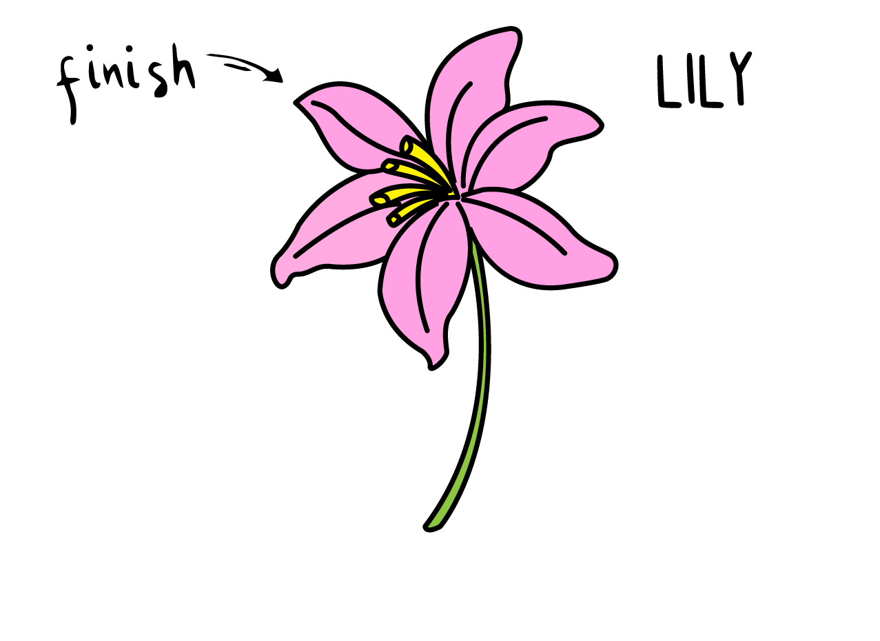 How To Draw A Beautiful Pink Lily Flower Easy For Little Kids