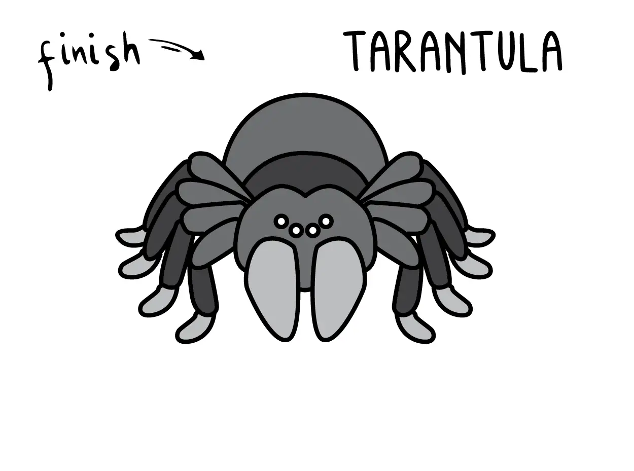 How To Draw a SPIDER TARANTULA SCARY HALLOWEEN INSECT BUG Step By Step Easy Simple Drawing Guide for Kids FINAL