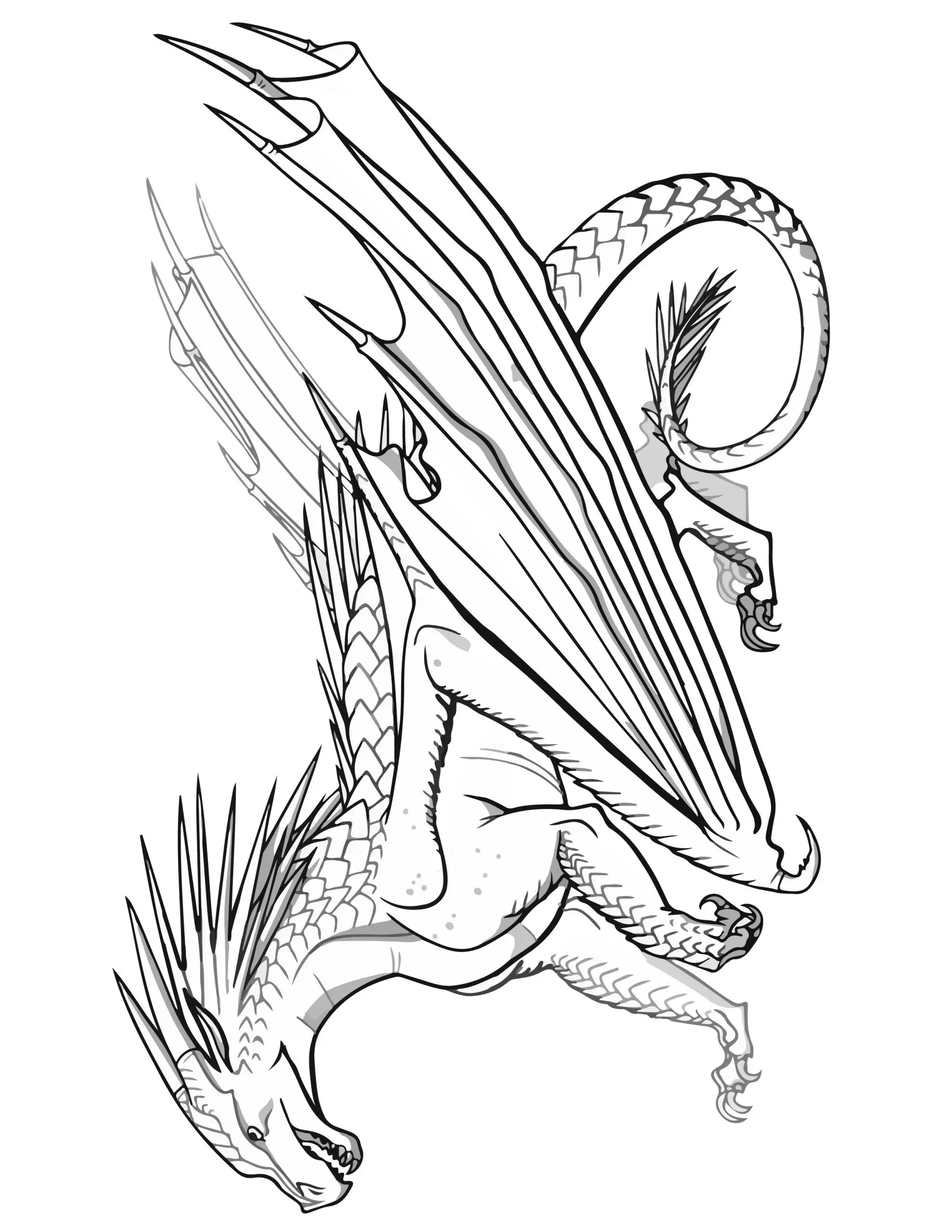 ICEWING Dragon Coloring Page Transparent Wings of Fire Coloring SHEET Pyrrhian Dragon Tribe