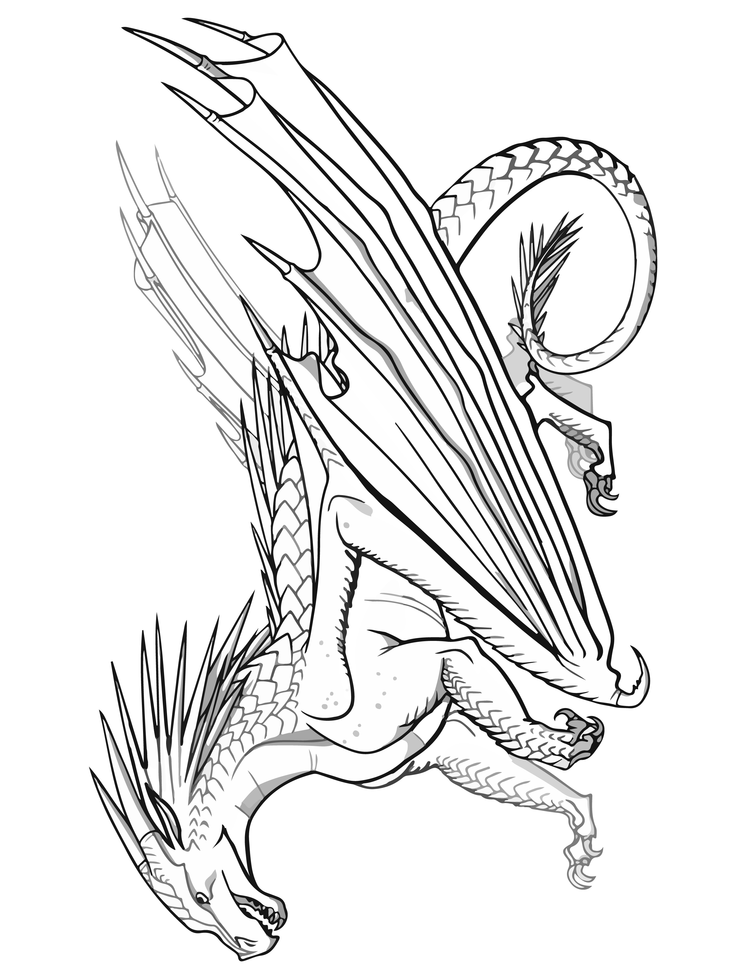 7 Wings Of Fire Dragon Coloring Pages For Kids Free Printable Rainbow Printables