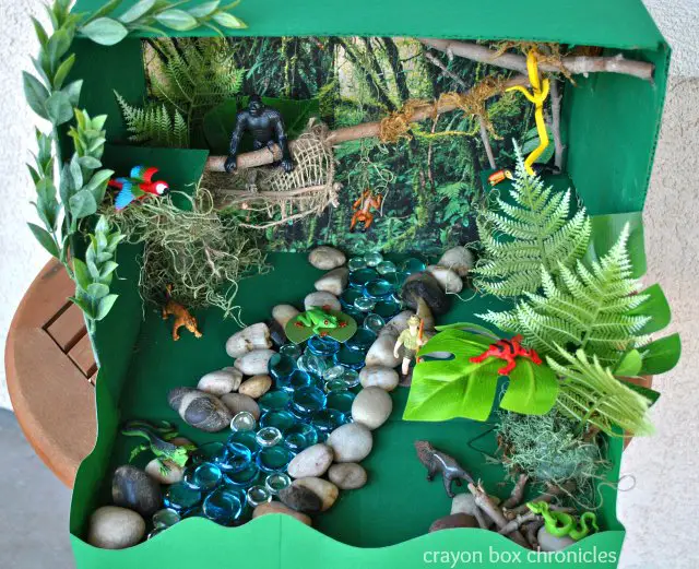 Mini-Rainforest Diorama Idea