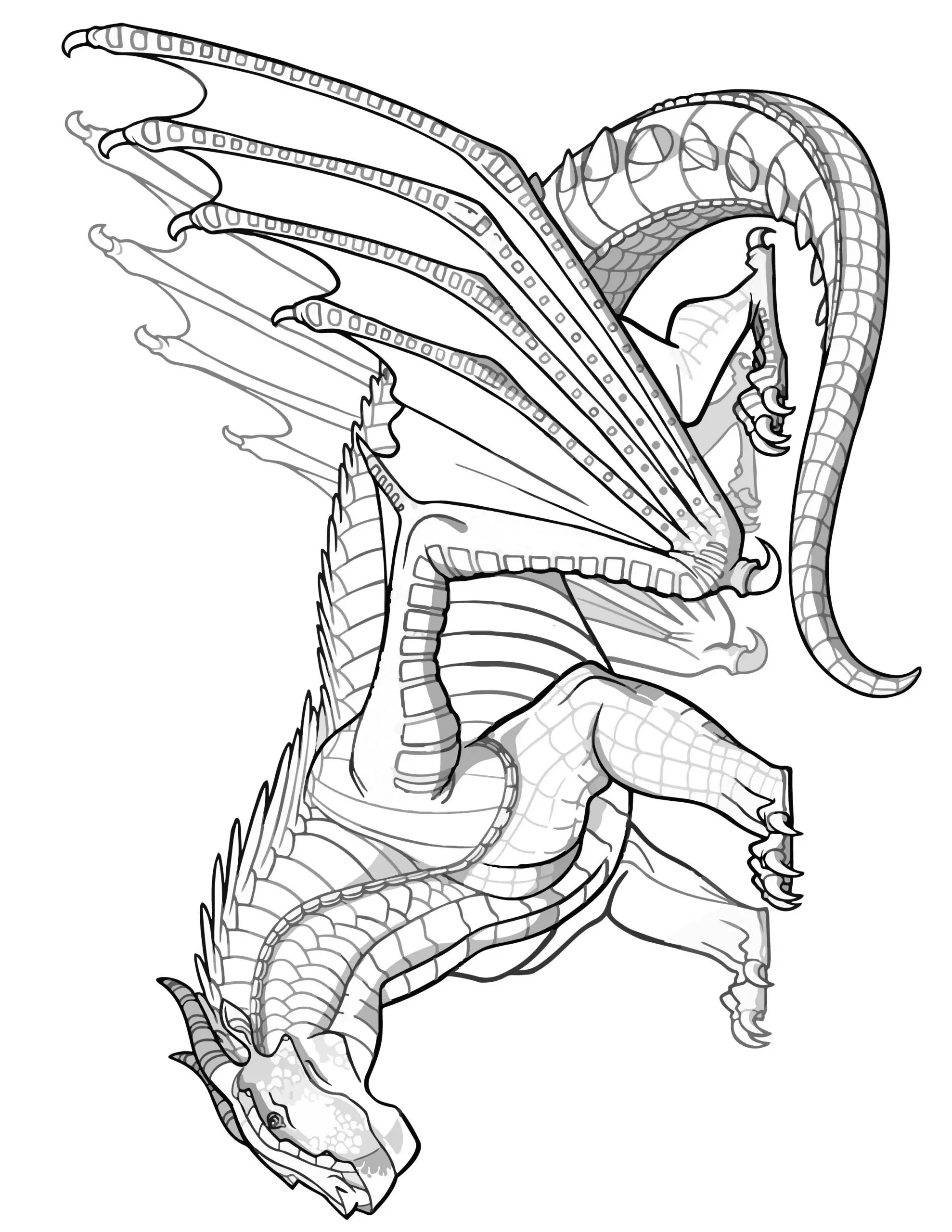 MUDWING DRAGON Coloring Page Transparent Wings of Fire Coloring SHEET Pyrrhian Dragon Tribe