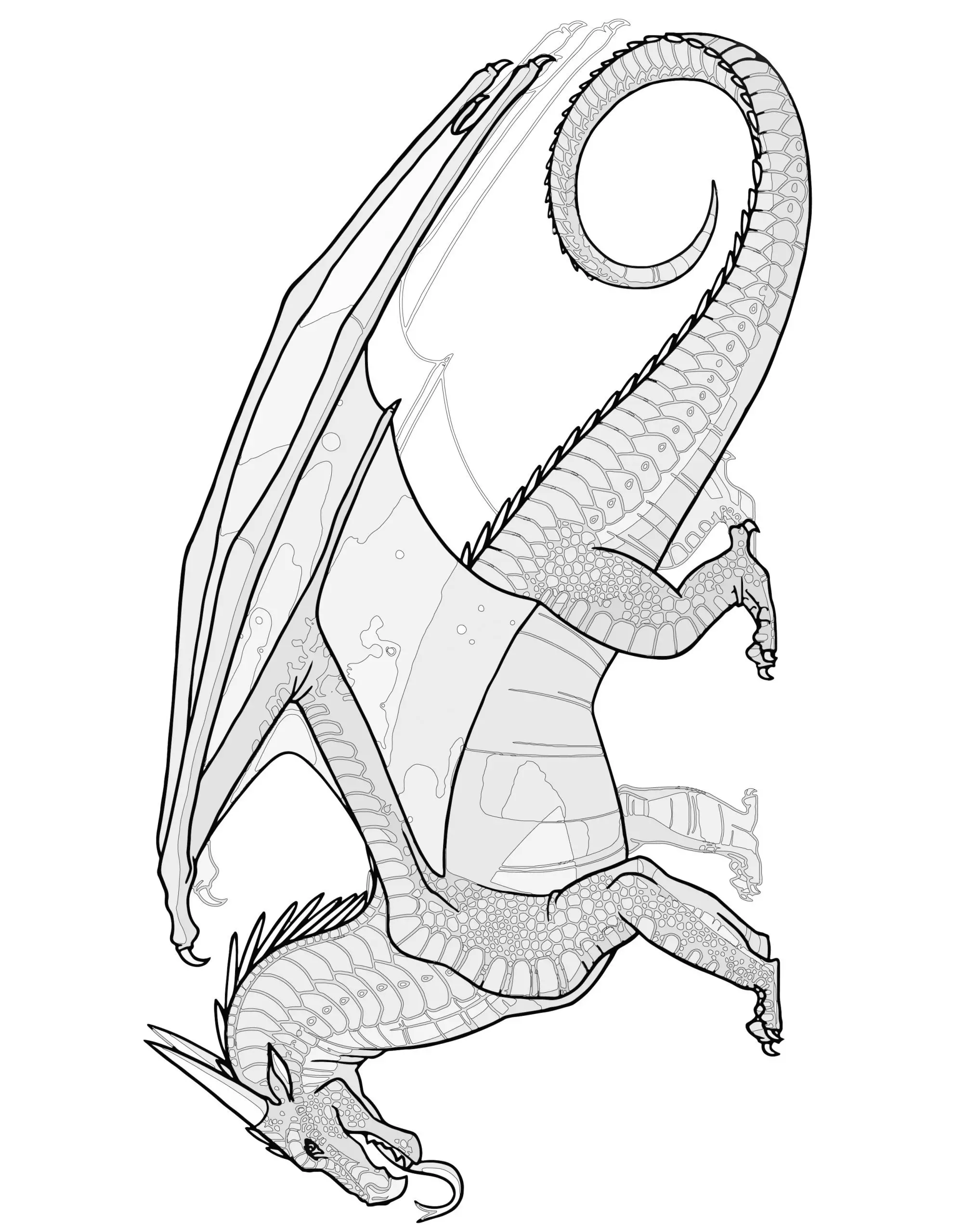 NIGHT Dragon Coloring Page Transparent Wings of Fire Coloring SHEET Pyrrhian Dragon Tribe