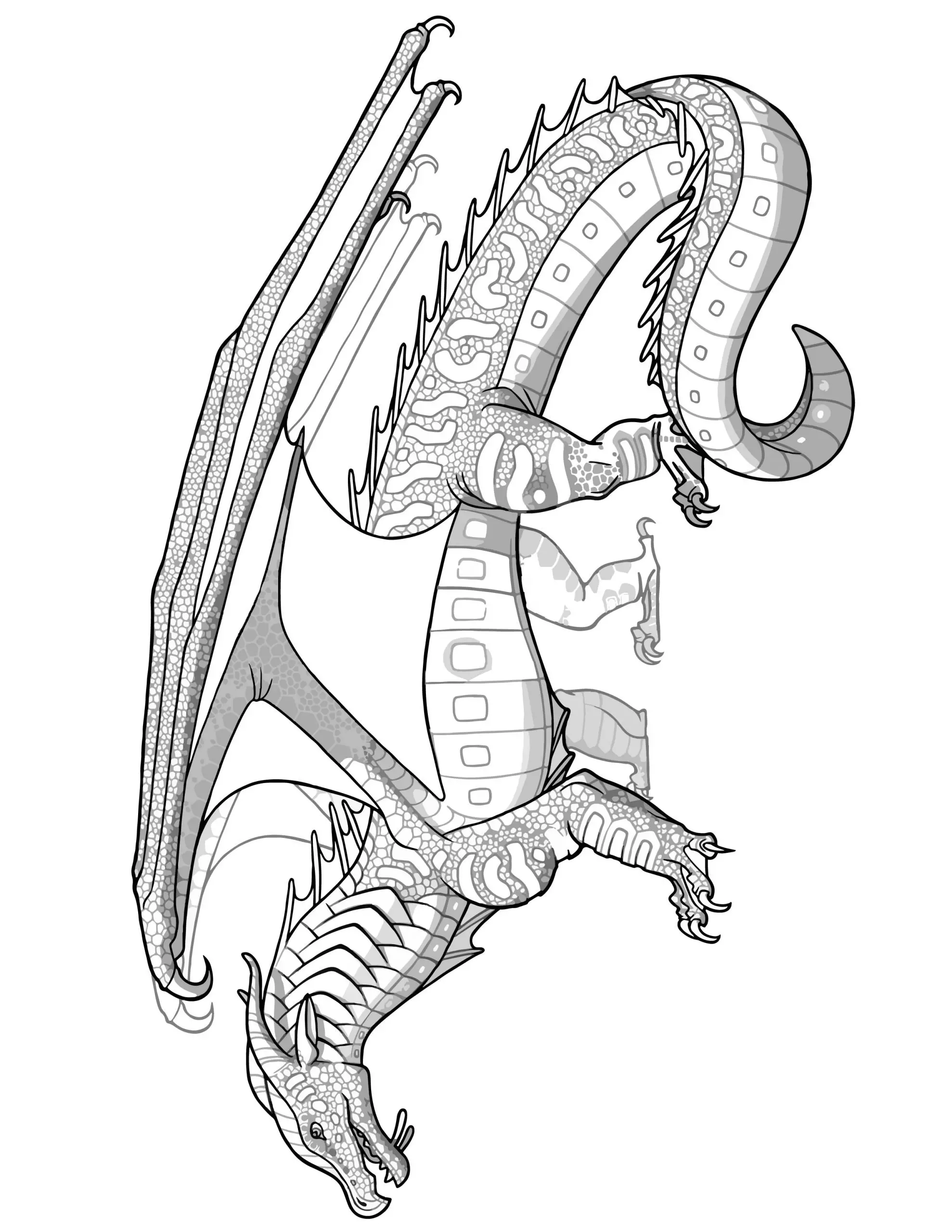 SEAWING Dragon Coloring Page Transparent Wings of Fire Coloring SHEET Pyrrhian Dragon Tribe