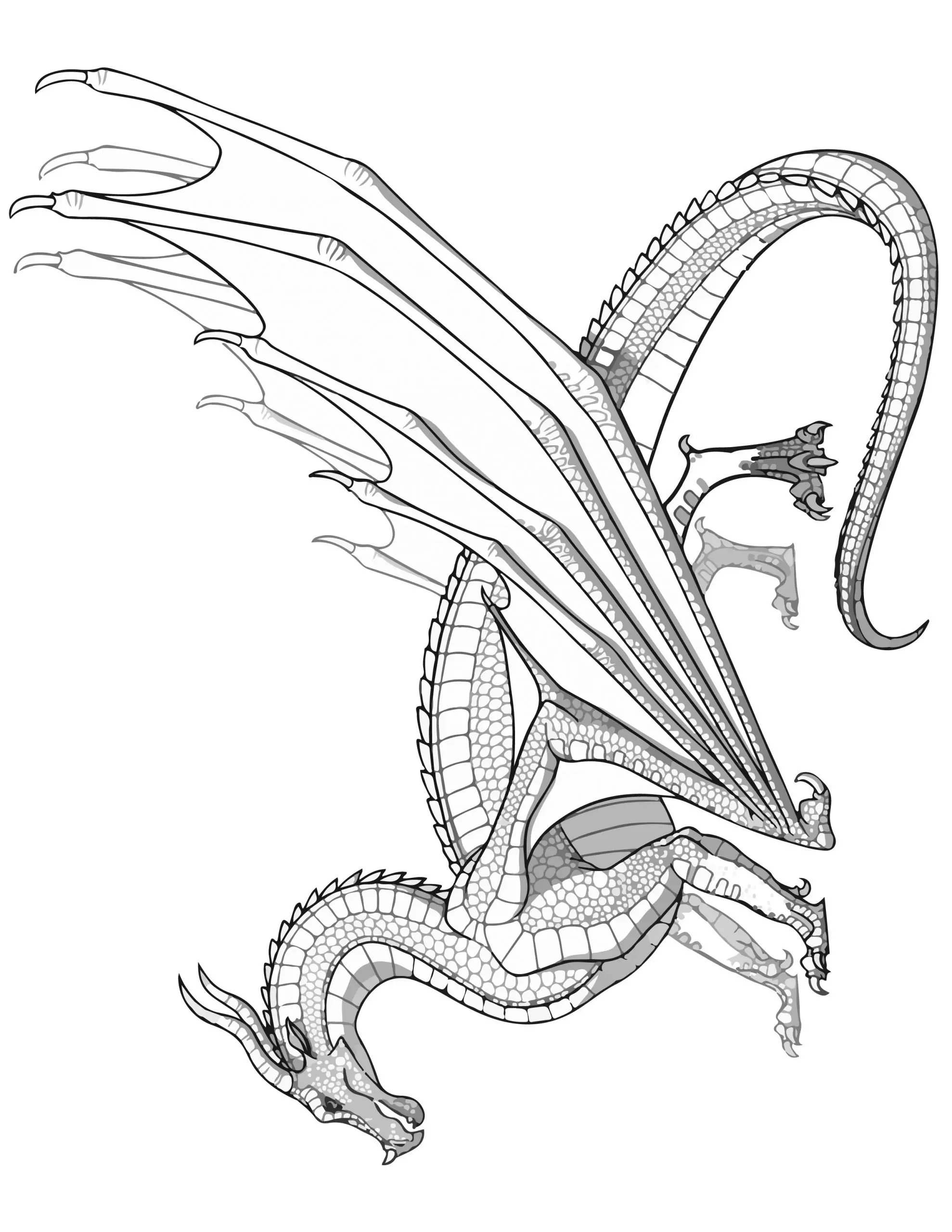 SKYWING Dragon Coloring Page Transparent Wings of Fire Coloring SHEET Pyrrhian Dragon Tribe