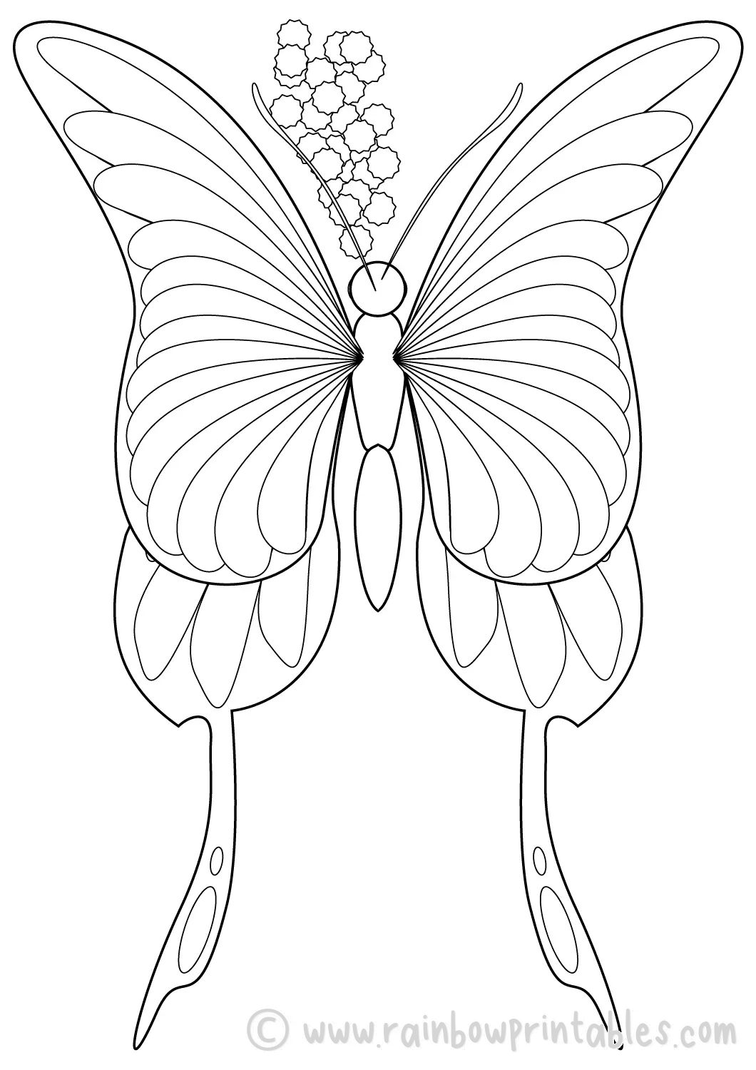 simple-PRETTY-BUTTERFLY-coloring-page-insect-for-kids