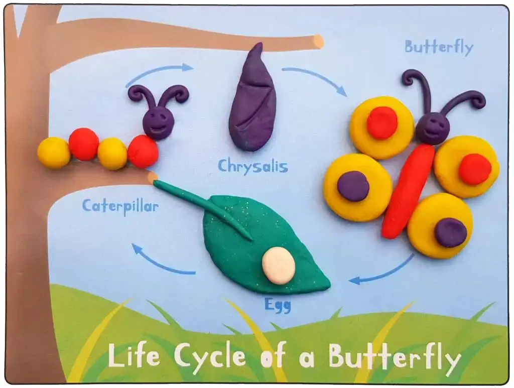 Butterfly Life Cycle Play Dough Mat