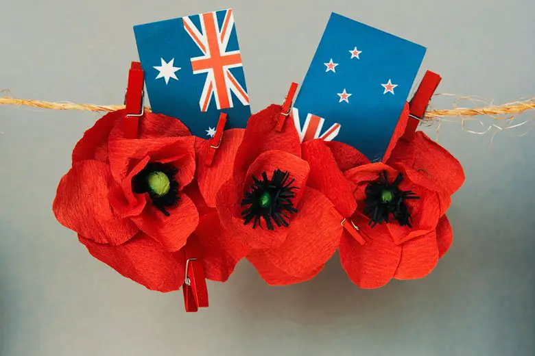 15 Anzac Day Craft Activities for Kids - Rainbow Printables