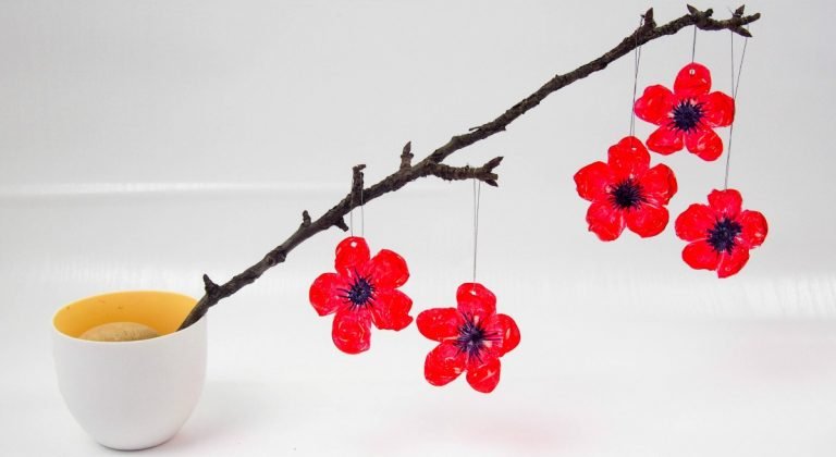 15 Anzac Day Craft Activities for Kids - Rainbow Printables