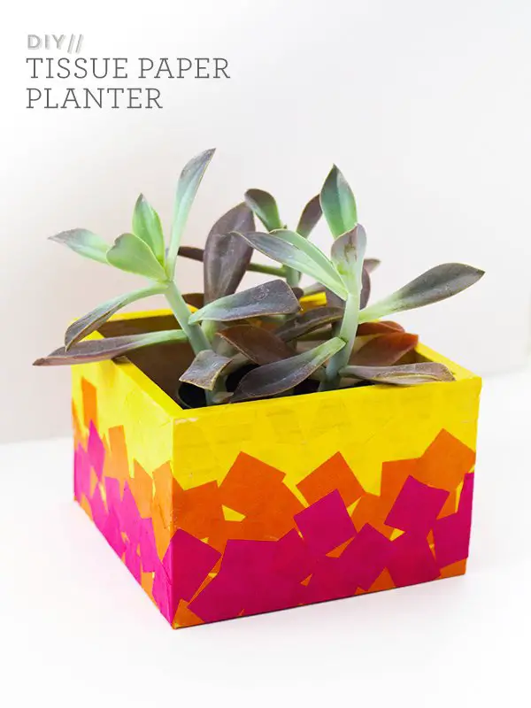 Easy Tissue Paper Planter Box