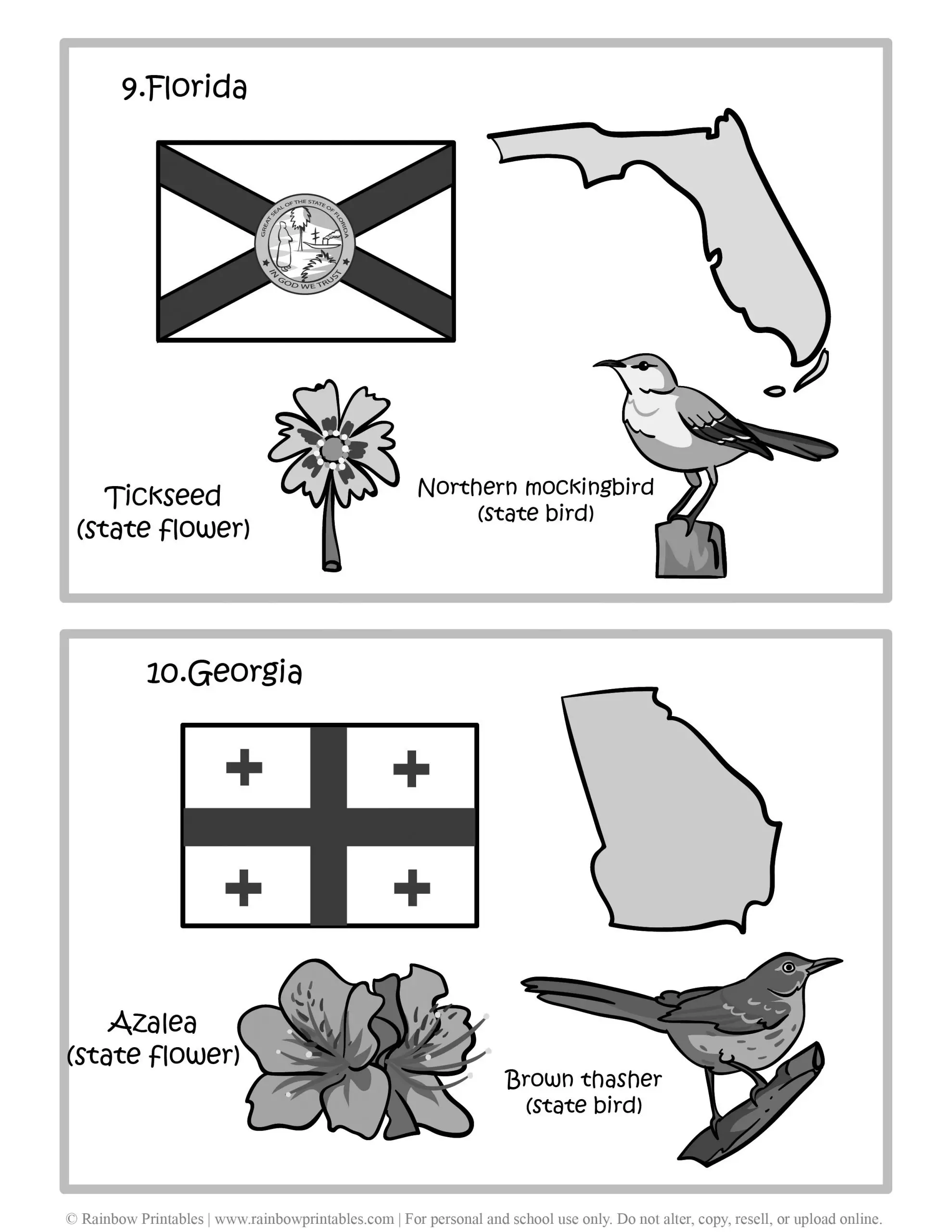 Florida, Georgia, 50 US State Flag, State Bird, State Flower, United States of America - American States Geography Worksheet Class Lesson Printables Flashcards Black White