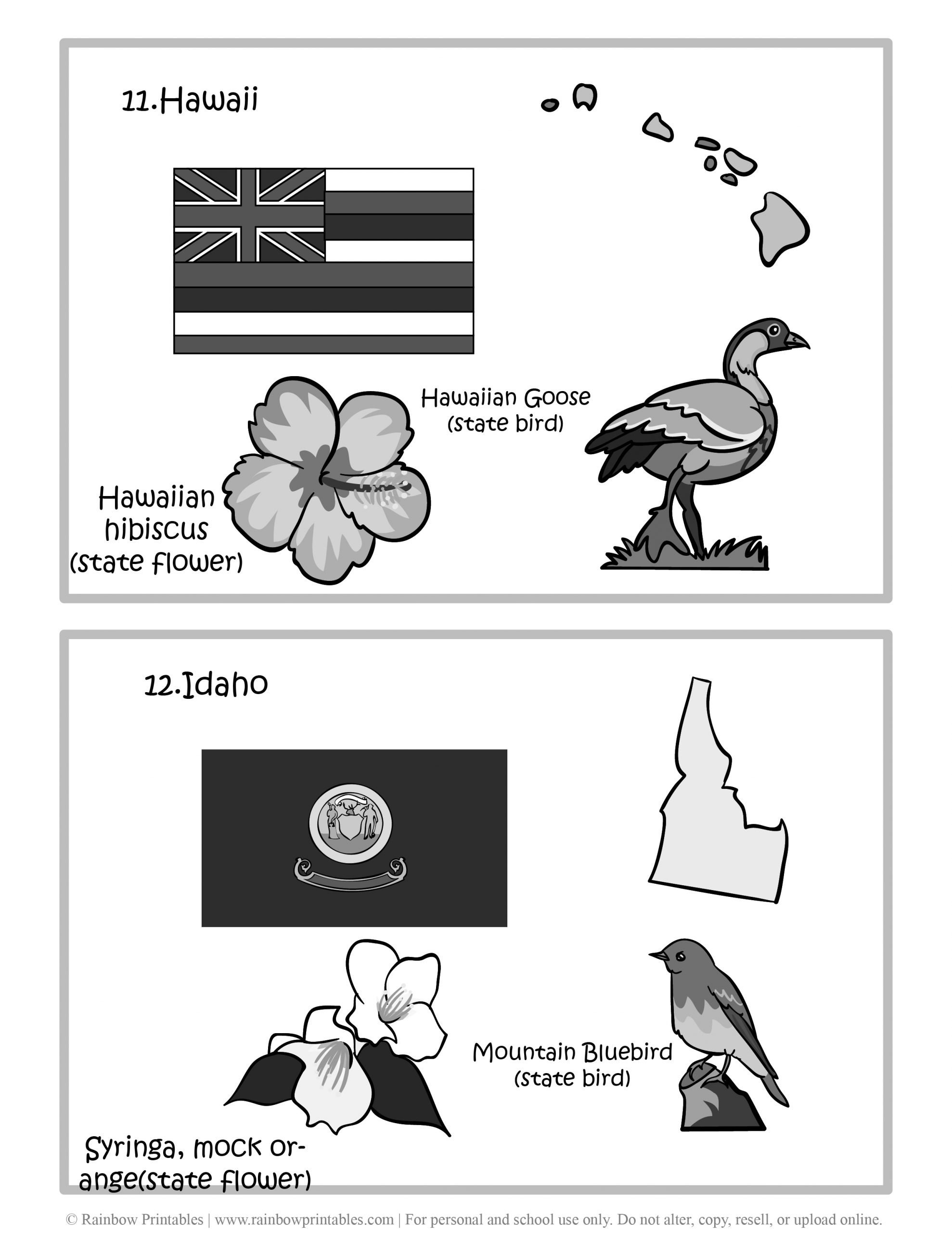 Hawaii, IDAHO, 50 US State Flag, State Bird, State Flower, United States of America - American States Geography Worksheet Class Lesson Printables Flashcards Black White