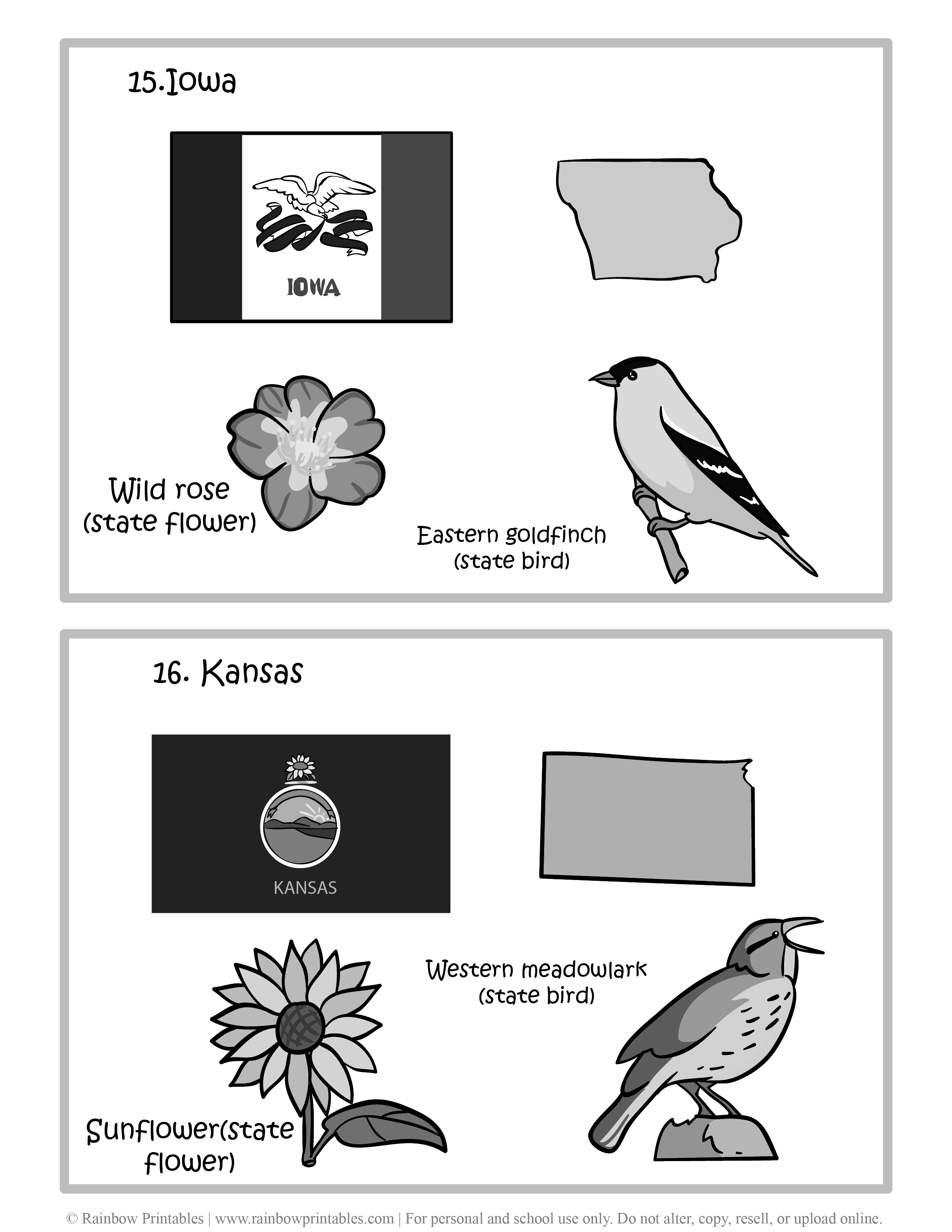 Iowa, Kansas, 50 US State Flag, State Bird, State Flower, United States of America - American States Geography Worksheet Class Lesson Printables Flashcards Black White