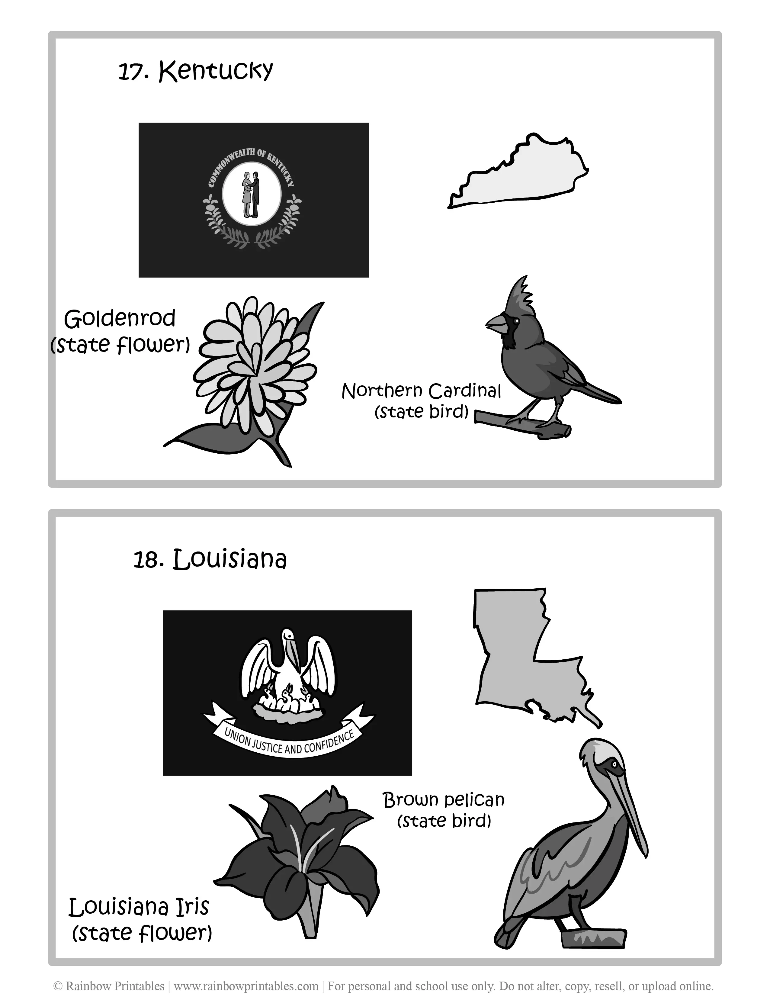 Kentucky, Louisiana, 50 US State Flag, State Bird, State Flower, United States of America - American States Geography Worksheet Class Lesson Printables Flashcards Black White