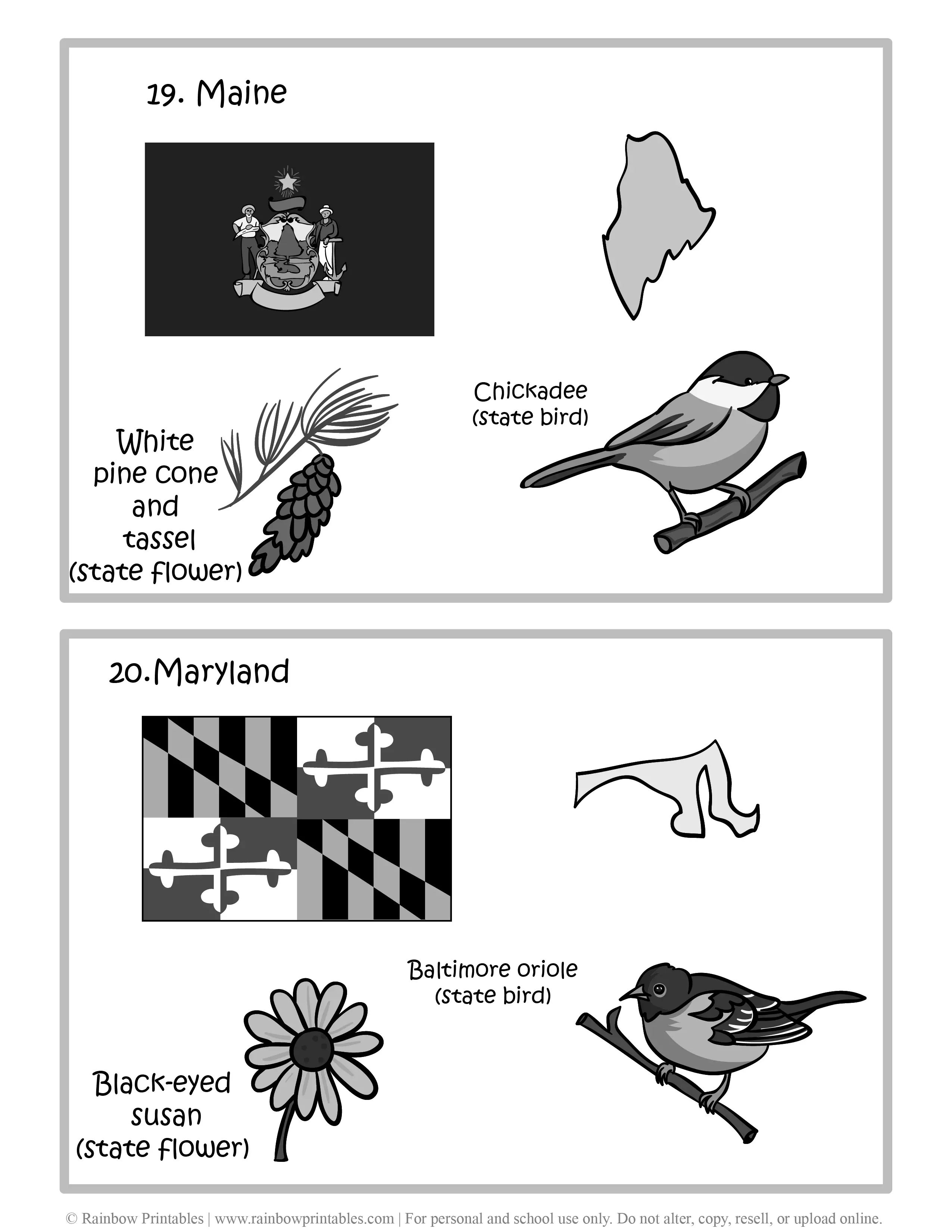 Maine, Maryland, 50 US State Flag, State Bird, State Flower, United States of America - American States Geography Worksheet Class Lesson Printables Flashcards Black White