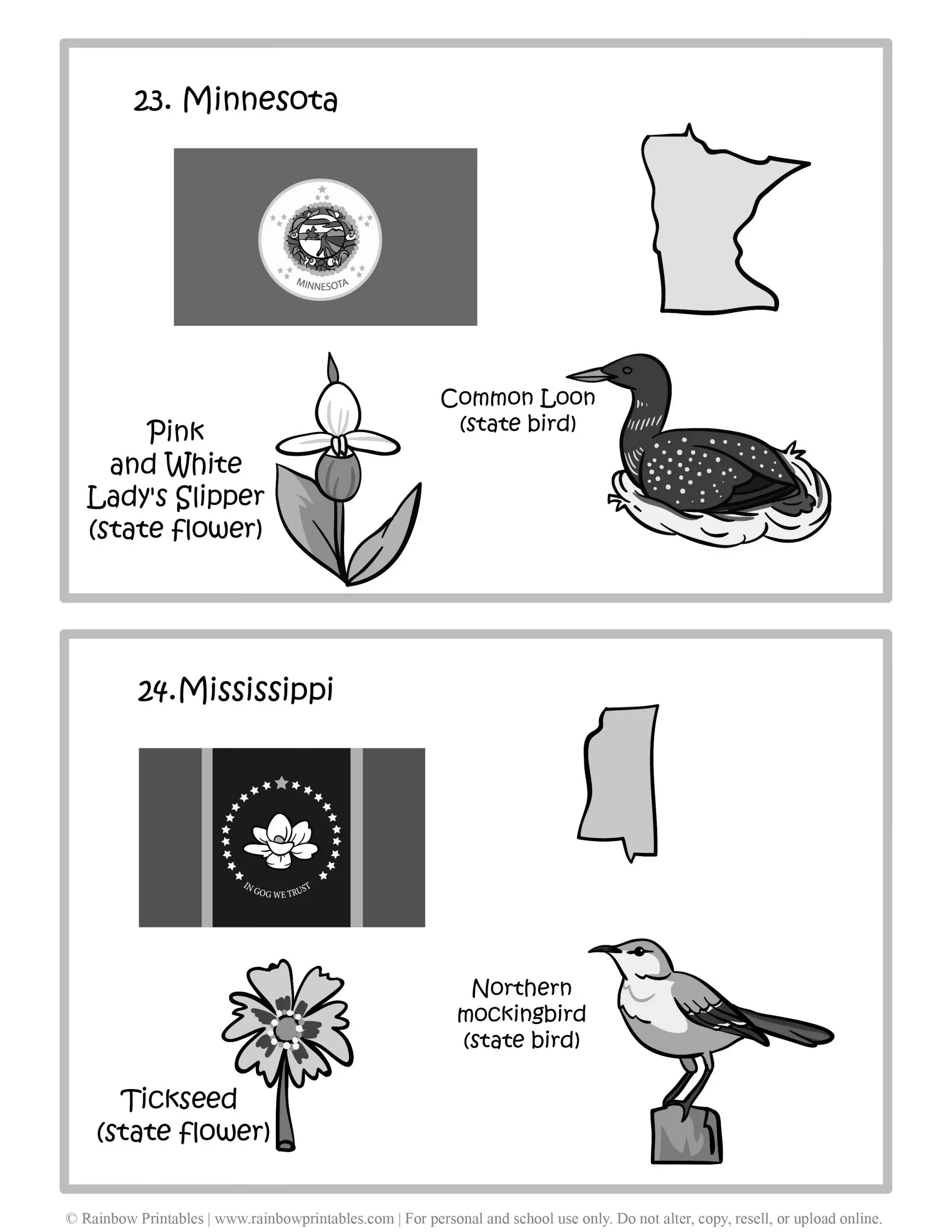 Minnesota, Mississippi, 50 US State Flag, State Bird, State Flower, United States of America - American States Geography Worksheet Class Lesson Printables Flashcards Black White