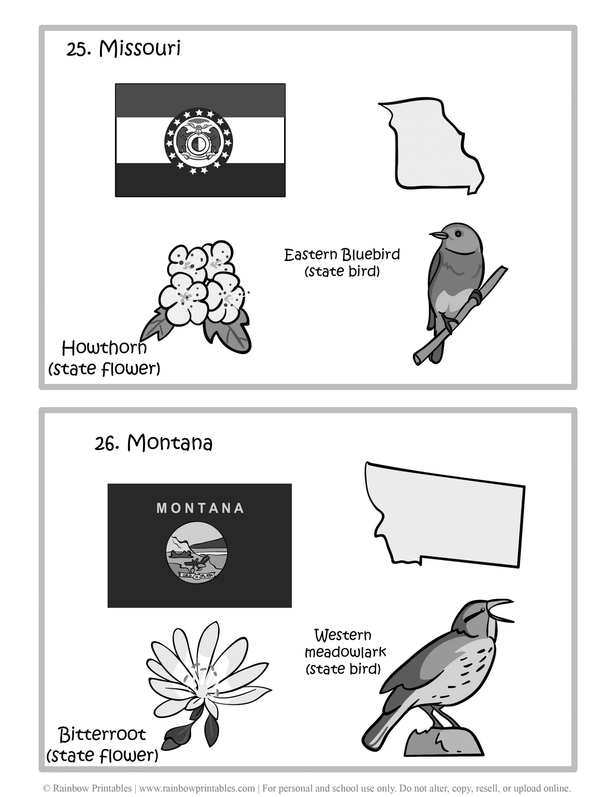 Missouri, Montana, 50 US State Flag, State Bird, State Flower, United States of America - American States Geography Worksheet Class Lesson Printables Flashcards Black White