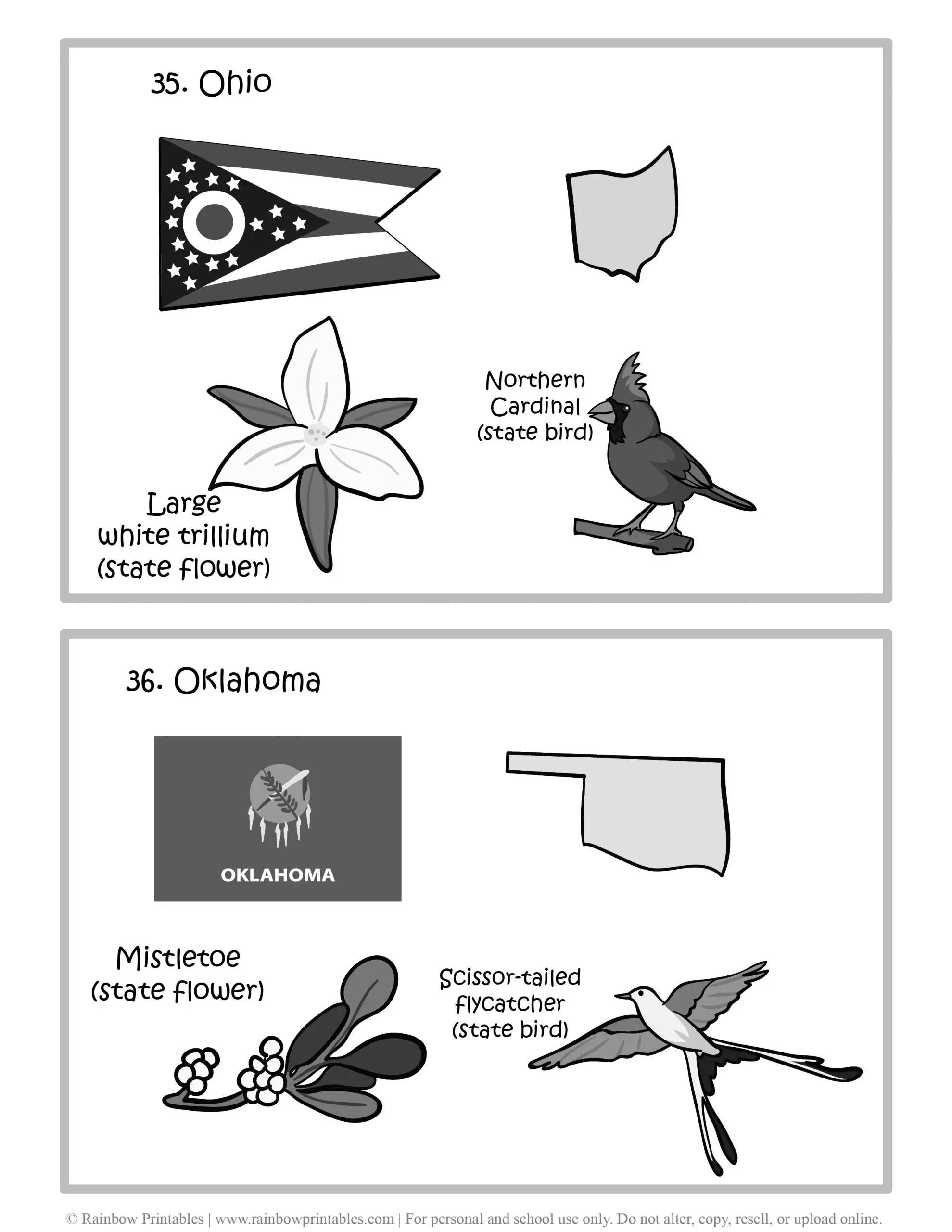Ohio, Oklahoma, 50 US State Flag, State Bird, State Flower, United States of America - American States Geography Worksheet Class Lesson Printables Flashcards Black White