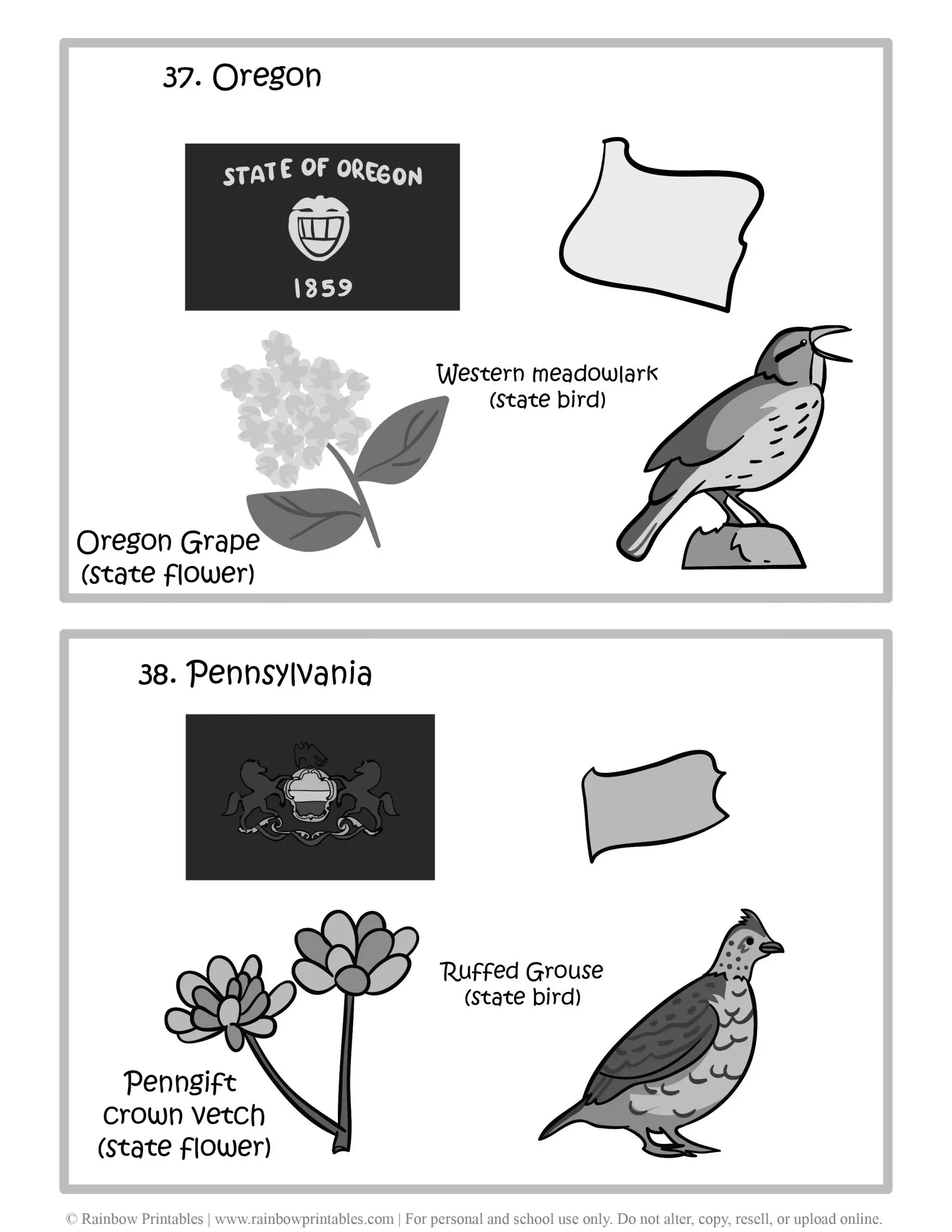 Oregon, Pennsylvania, 50 US State Flag, State Bird, State Flower, United States of America - American States Geography Worksheet Class Lesson Printables Flashcards Black White