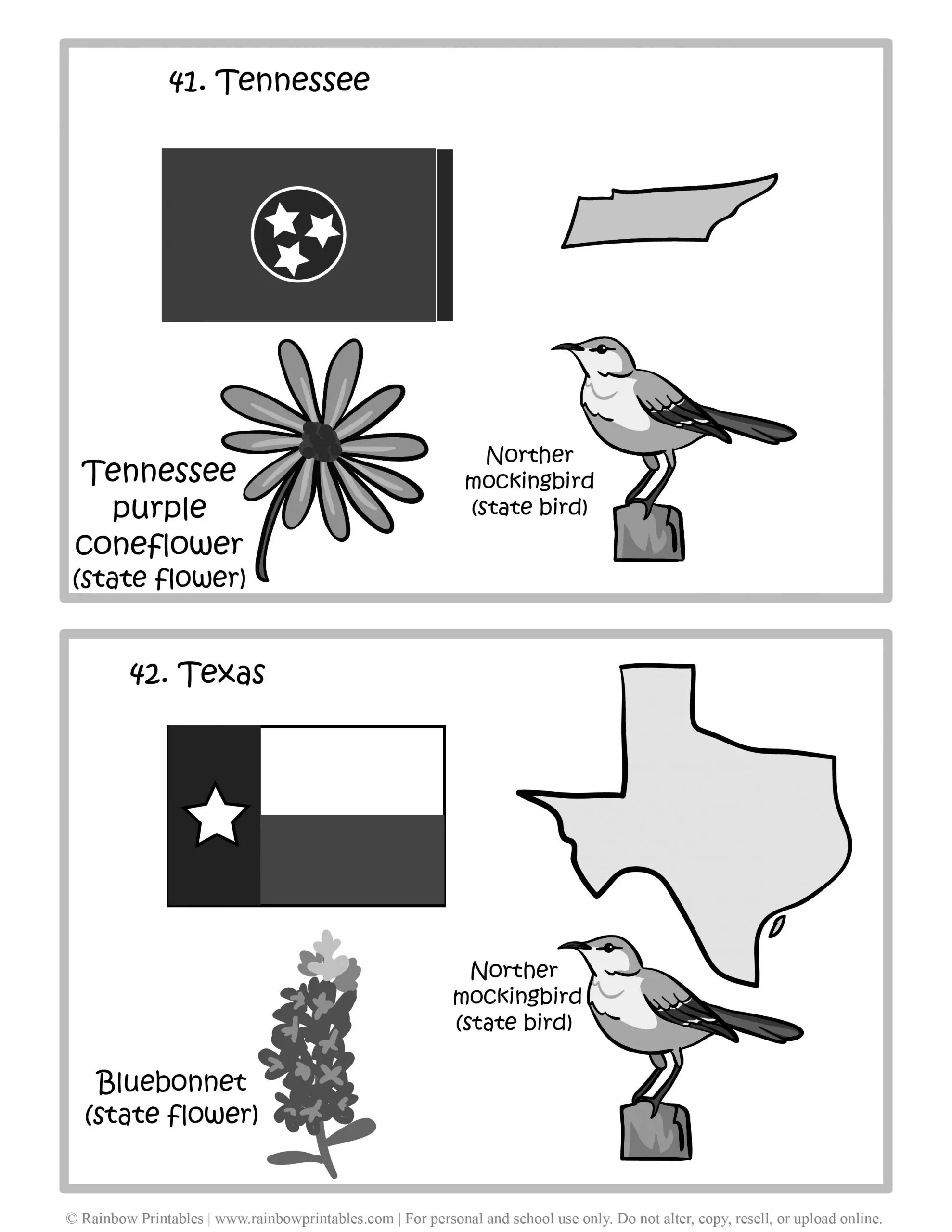 Tennessee, Texas, 50 US State Flag, State Bird, State Flower, United States of America - American States Geography Worksheet Class Lesson Printables Flashcards Black White