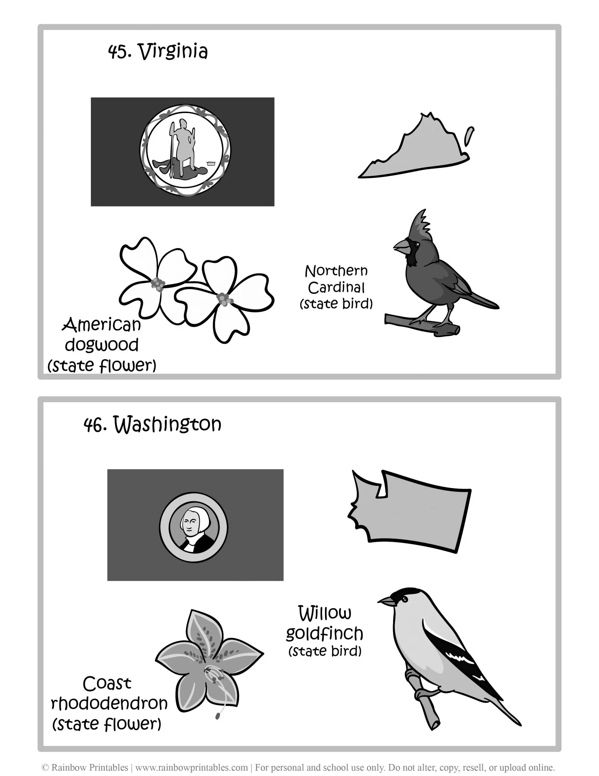 Virginia, Washington, 50 US State Flag, State Bird, State Flower, United States of America - American States Geography Worksheet Class Lesson Printables Flashcards Black White