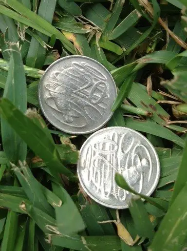 Identical Coins