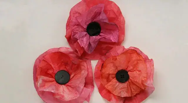 Coffee Filter Poppies
